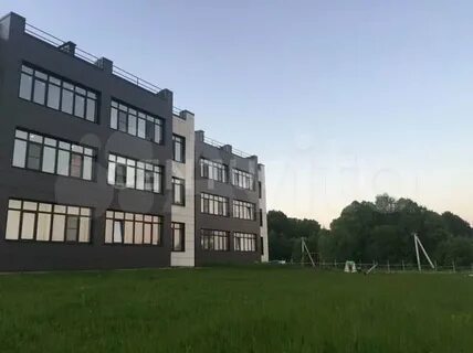 Медвежья поляна