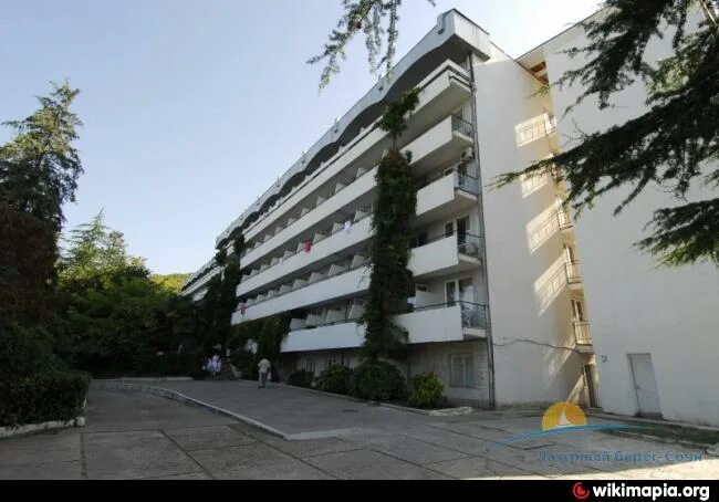 тихие санатории сочи. пансионат тихий дон в лазаревском. санаторий тихий дон лазаревское. тихие санатории сочи. тихий дон лазаревское.