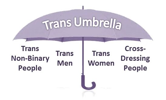 Non binary Umbrella. Trans Umbrella. Gender Umbrella. Трансгендерный зонтик.