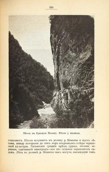 Сокровище черного моря престиж. "большая книга моря". Ф п доброхотов черноморское побережье кавказа. Черноморская книга рекомендации. Черноморская книга рекомендации.