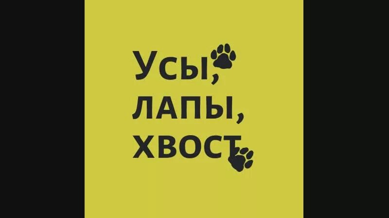 Усы лапы хвост отрадный. Усы лапы хвост. Усы лапы и хвост рисунок. Акция усы лапы хвост.