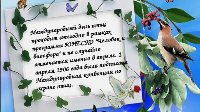 1 апреля международный день птиц картинки. Международный день птиц. Международный день Пти. 1 Апреля день птиц. День птиц презентация.