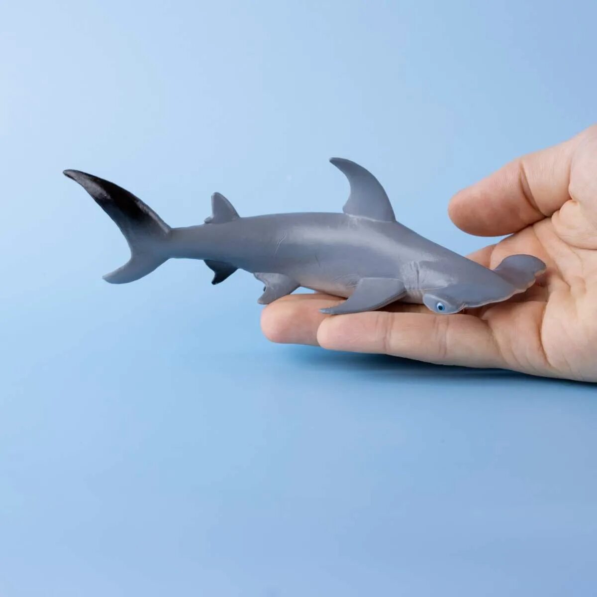 Купить акулу живую. Фигурка papo акула-молот. Акула молот. Маленькая акула. Акула молот маленькая.
