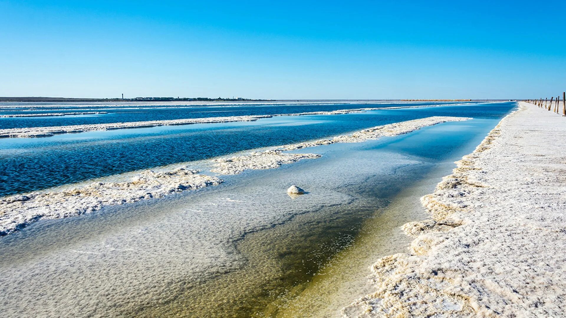 Мертвое море (dead sea). Маринованный огурец. Фото соленого. Фото соленого. Огурцы маринованные.