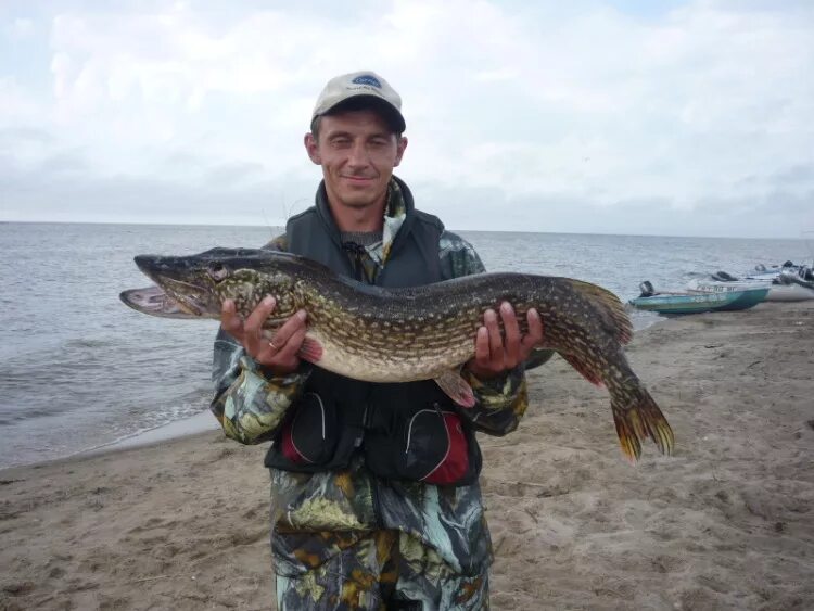 вологодские рыболовы. рыбалка вологодская. окунь вологодский. рыбалка в вологодской области зимой. река вологда рыбалка.