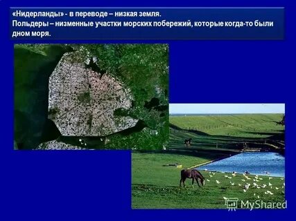 Растет низко к земле близко
