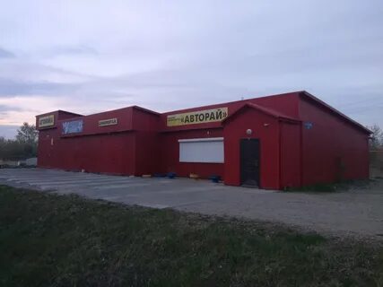 Каргаполье курган на завтра