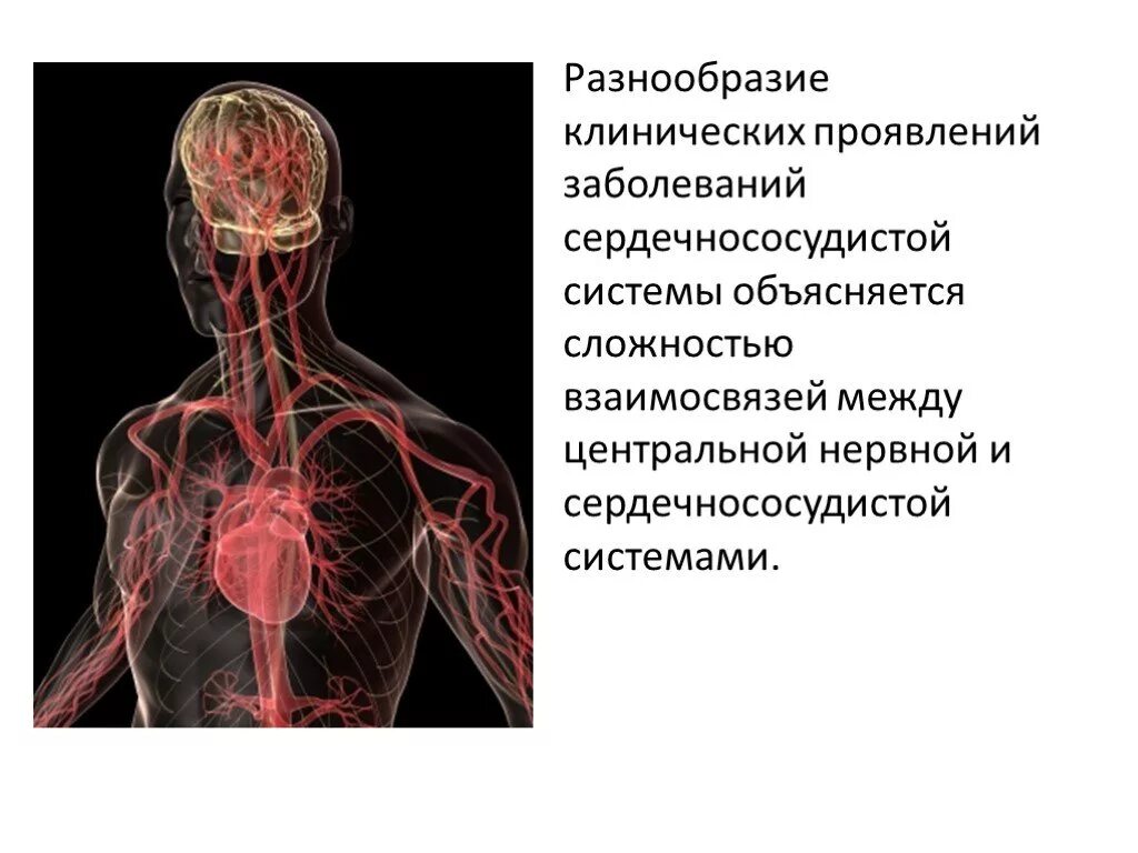 Симптомы заболеваний нервов. Заболевания нервной системы. Нервная сердечно сосудистая система. Заболевания центральной нервной системы. Кровеносная и нервная система человека.