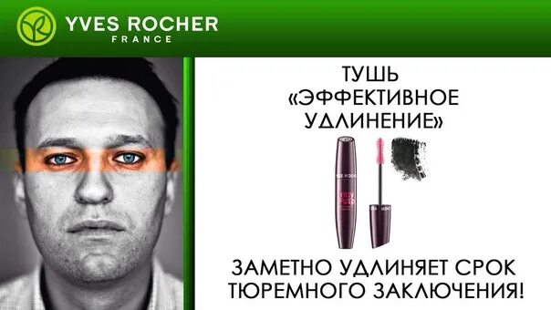 Что за дело ив роше. Дело Ив Роше. Ив Роше Навальный. Ив Роше Навальный суть. Yves Rocher Навальный.