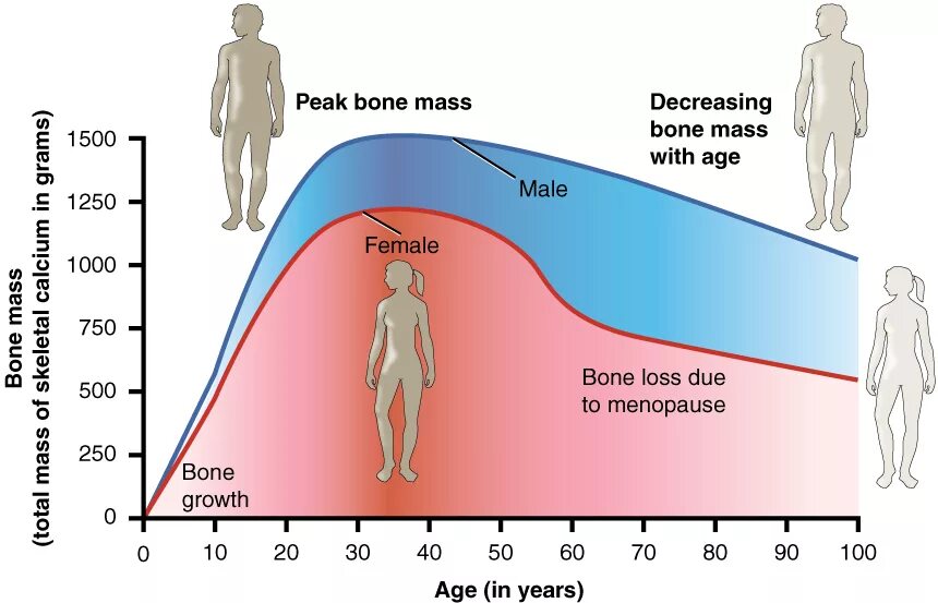 In views of age