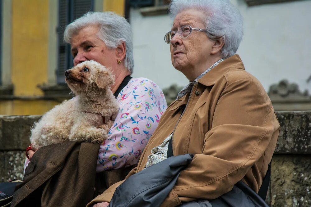 долгожители германии. итальянские пожилые люди. дольче габбана люди. стильные пенсионеры. модные пожилые итальянцы.