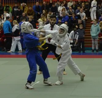 Кудо отзывы