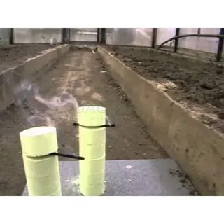 Серная шашка в теплице из поликарбоната осенью