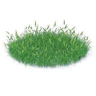 Grass 3 1