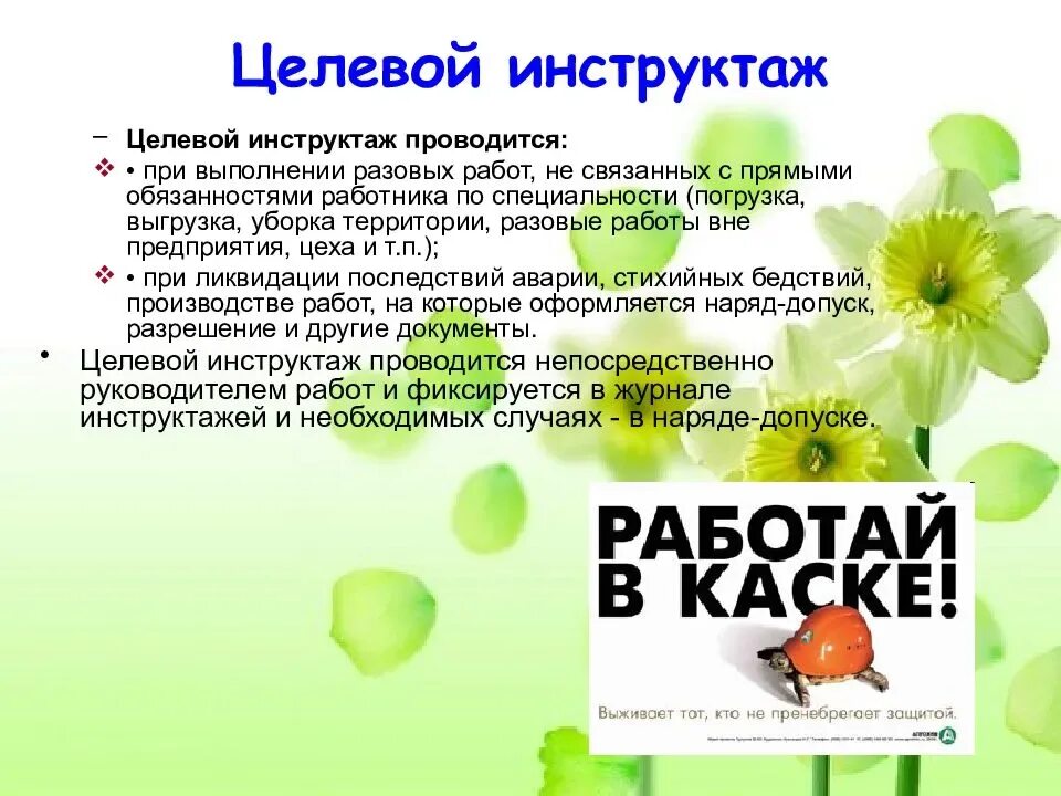 Кому проводит целевой. Целевой инструктаж. целевой инструктаж проводится. целевойинстркктаж проводится. целевой инструктаж по охране труда.