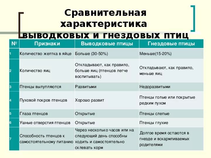 Укажите главные черты сходства и отличия птиц. Выводковые и гнездовые птицы таблица. Гнездовые и выводковые птицы различие. Сравнение гнездовых и выводковых птиц таблица. Сравнение выводковых и гнездовых птиц.