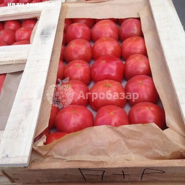 Томаты Азейбарджан. Розовые помидоры в ящиках. Ящик Бакинских помидоров. Помидоры в ящике.