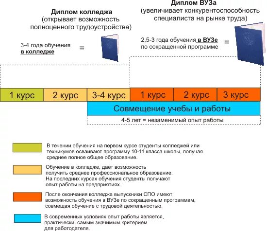 В техникуме есть курсы. Программы вузов. Периоды обучения в колледже. Программы обучения в вузах. Программа обучения в институте.