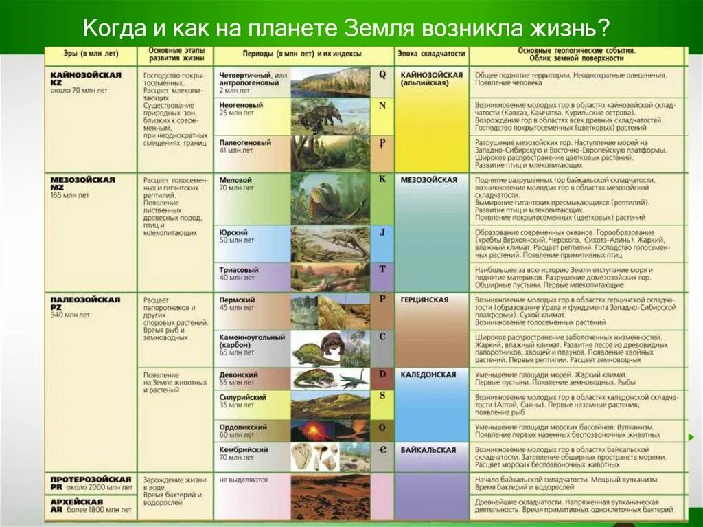 Эры земной коры. История развития органического мира Геохронологическая таблица. Геохронологическая таблица России по географии 8. Геологические эры таблица.