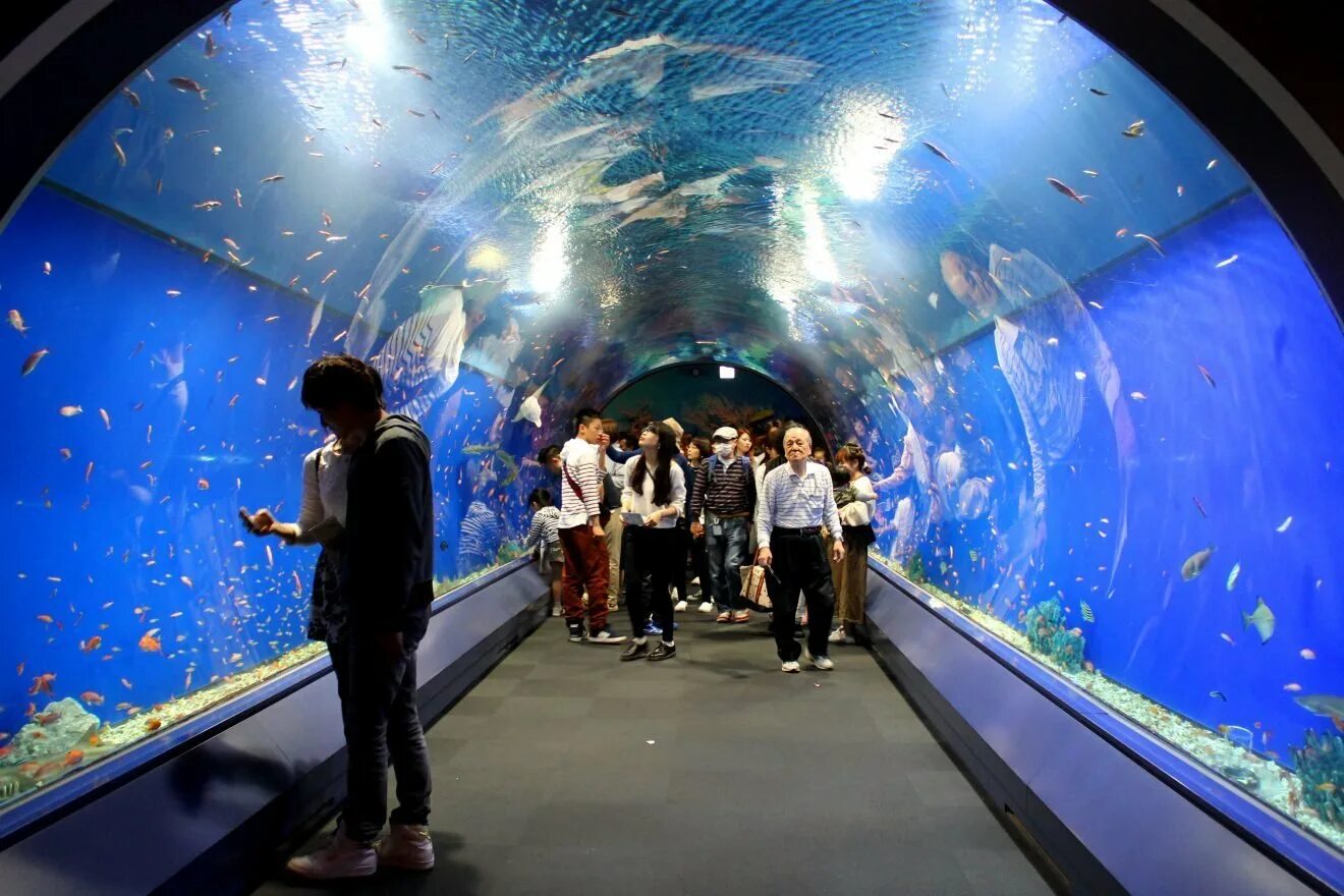 Аквариум Кайюкан Осака. Osaka Aquarium Kaiyukan Осака. Городской аквариум (Osaka Aquarium Kaiyukan) Япония. Океанариум Винперл.