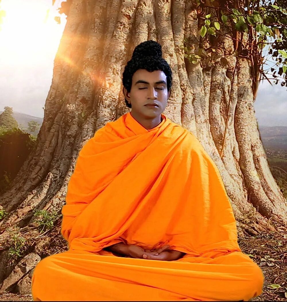 Сиддхартха Гаутама Шакьямуни. Будда Сиддхартха. Буддизм Сиддхартха Гаутама. Сиддхартха Гаутама фото. Есть ли будда