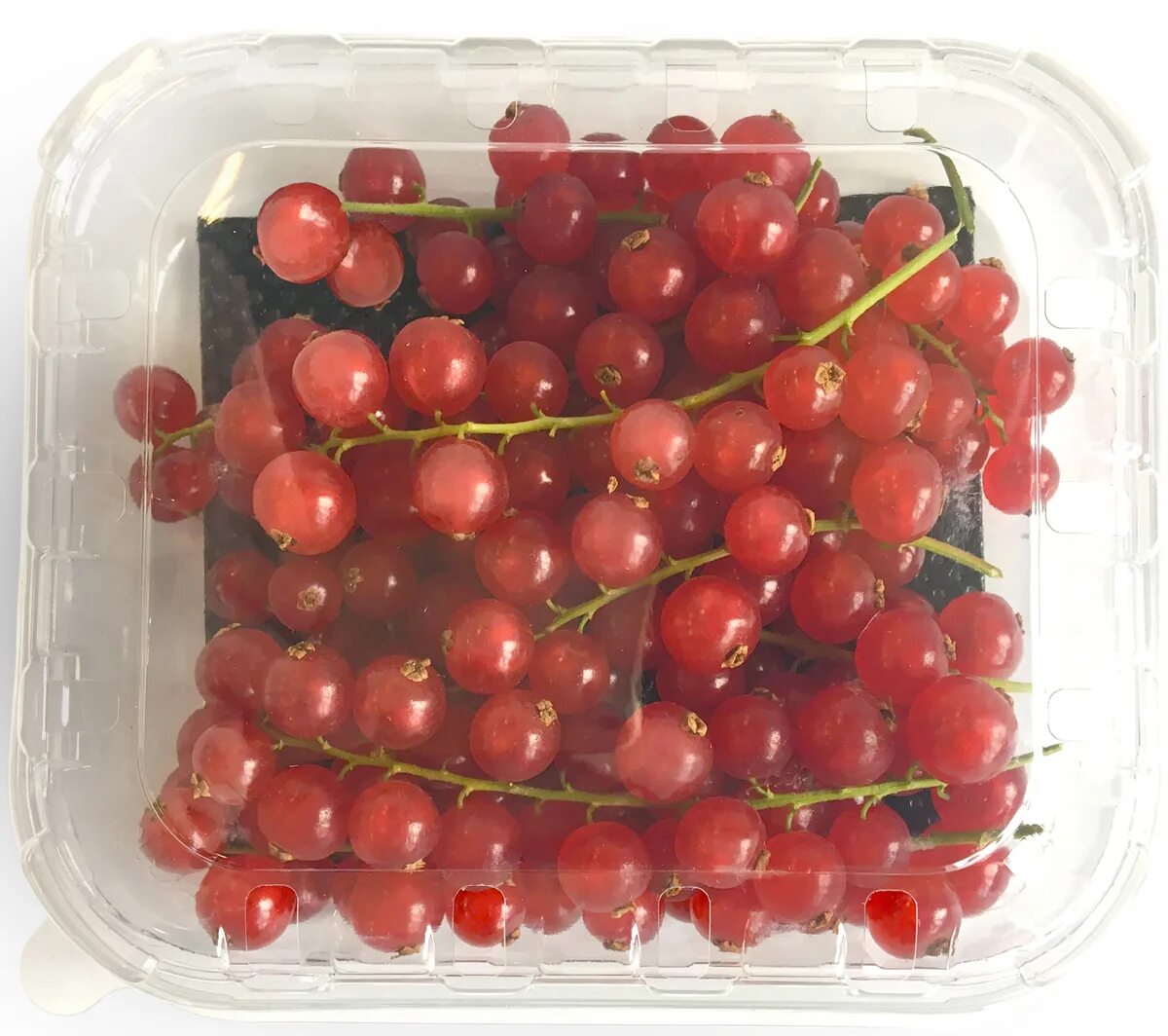 смородина на белом фоне. этикетка красная смородина. смородина ярославль. смородина ярославль. чайный напиток ягода сибири черная смородина.