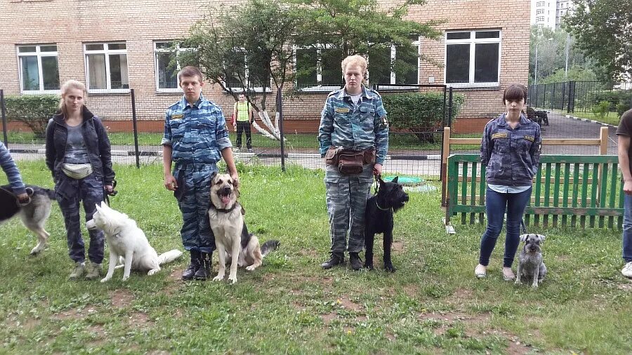 теплый стан кинолог колледж. колледж 38 кинология. комитент колледж челябинск. кинология скрябина. кинологический колледж на теплом стане.