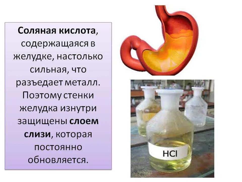 Что может. Соляная кислота желудочного сока обеспечивает. Соляная кислота желудочного сока осуществляется. Концентрация соляной кислоты в желудочном соке. Что вырабатывает соляную кислоту в желудке.