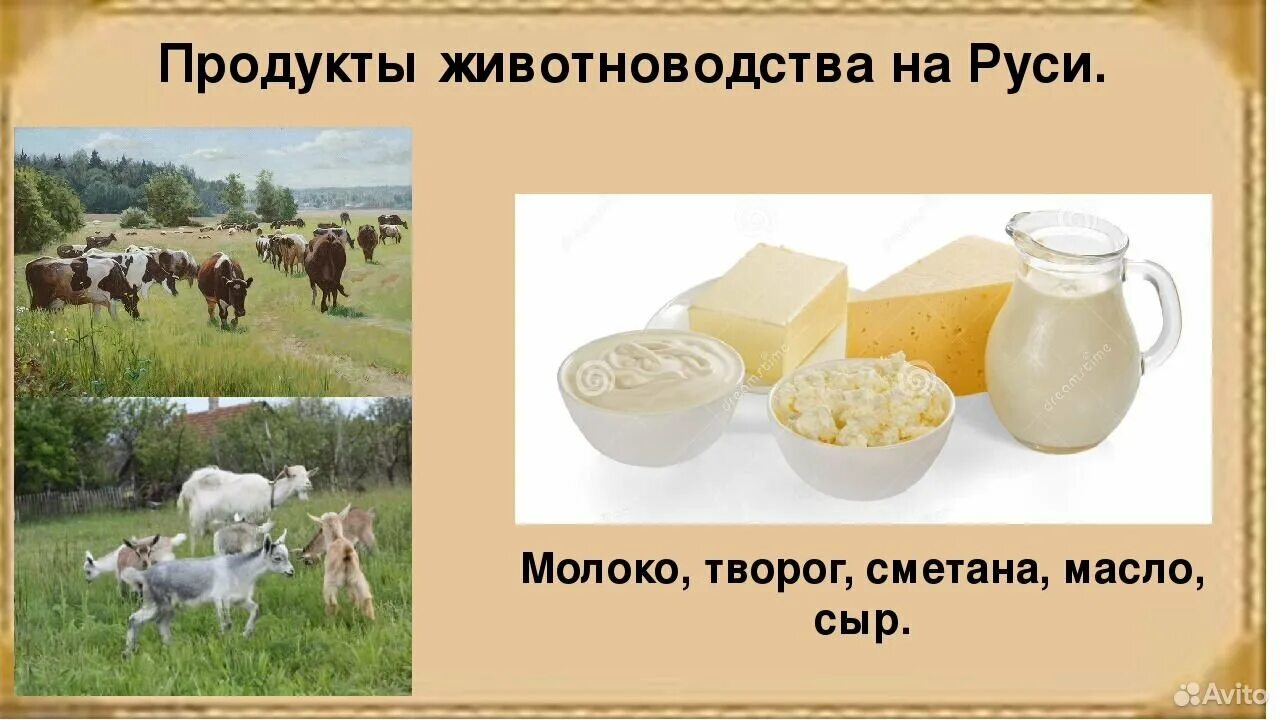 Выберите продукты животноводства