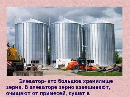 До обеда на элеватор отправили