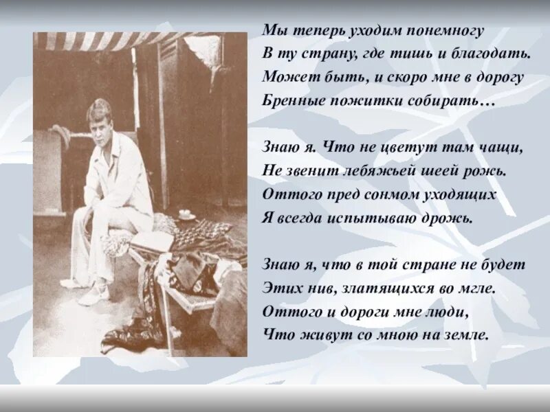 Каждому метру я посвящаю строки