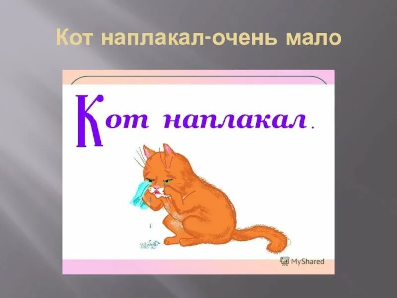 История слова кот. Кот наплакал фразеологизм. кот заплакал фразеологизм. происхождение фразеологизма кот наплакал. рисунок к фразеологизму кот наплакал.