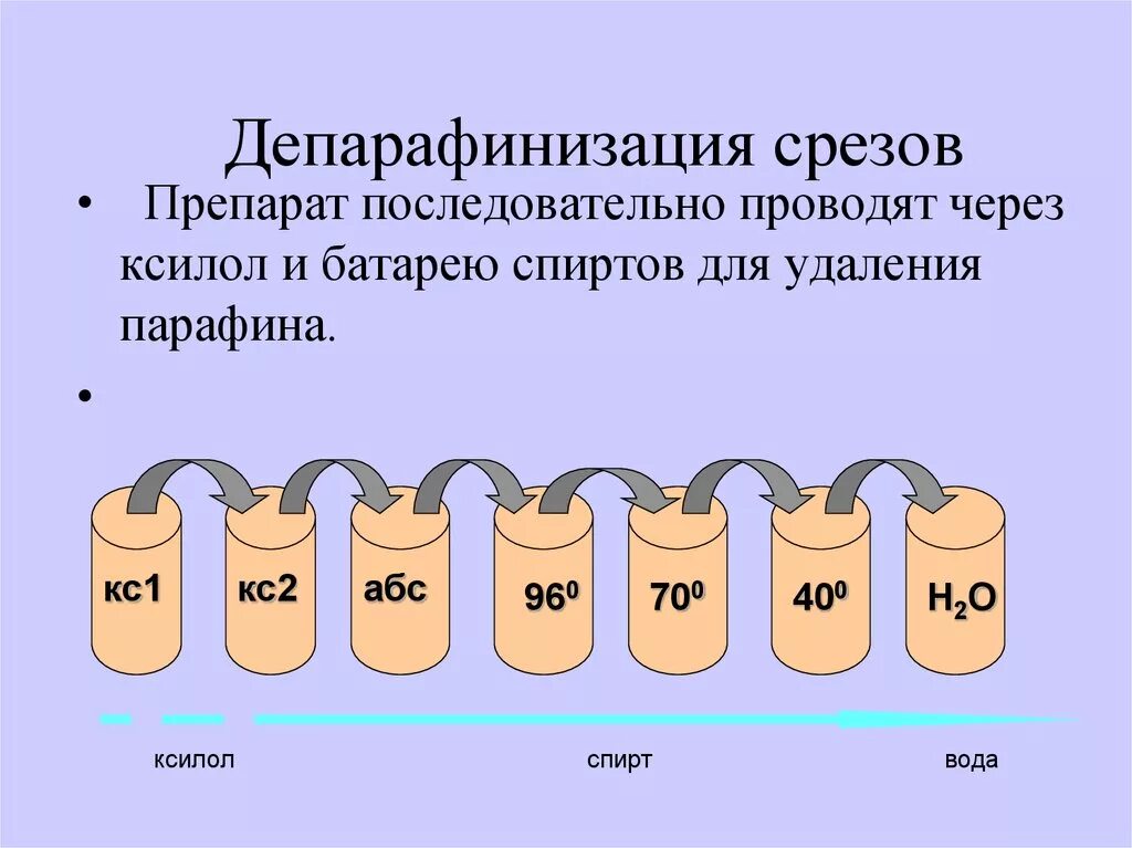 Депарафинирование срезов гистология. Депарафинирование парафиновых срезов. Обезвоживание гистологического материала. Депарафинизация гистология.