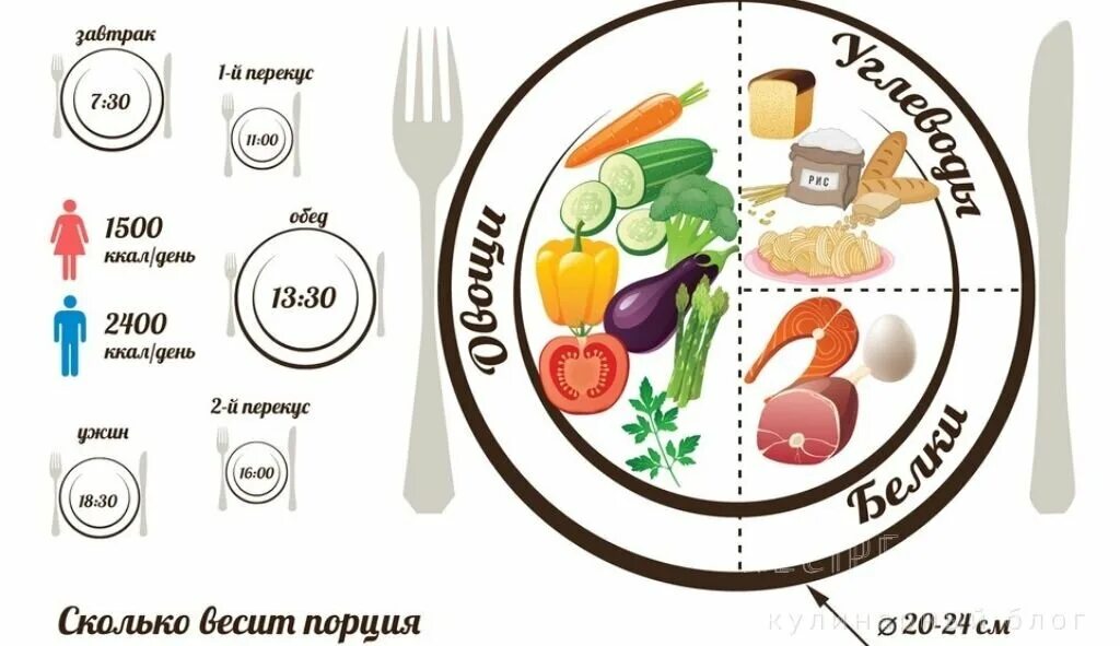 Правило тарелки. Тарелка здорового питания. Правило тарелки в питании. Тарелка по ПП.