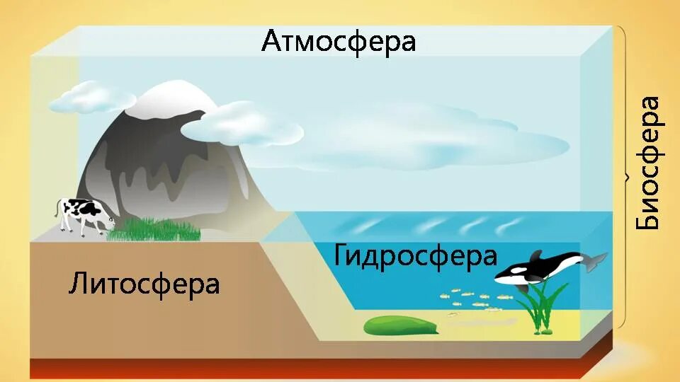 Атмосфера и гидросфера. Биосфера атмосфера гидросфера литосфера рисунок. литосфера гидрл сфера атмосфера. гидросвера атмосфера литосфер. строение земли атмосфера гидросфера литосфера.