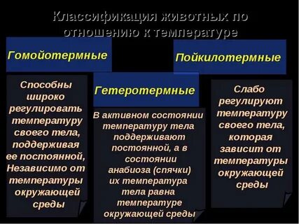 Гетеротермия это