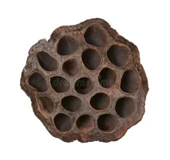 Сухая головка