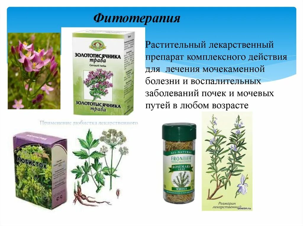 Растительные препараты применение