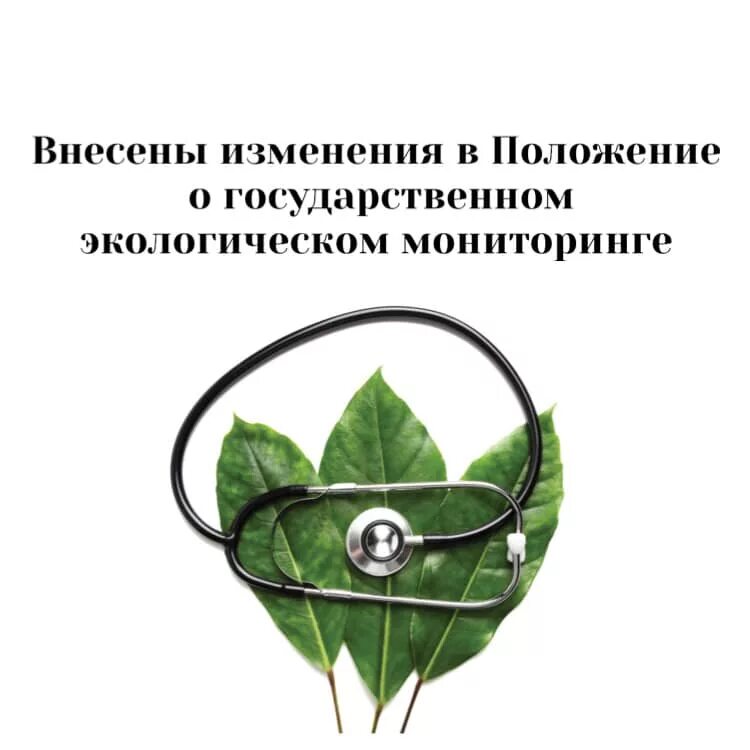 Экологический мониторинг окружающей среды. Экологический мониторинг символ. Экологический мониторинг окружающей среды эмблема. Единая государственная система экологического мониторинга.