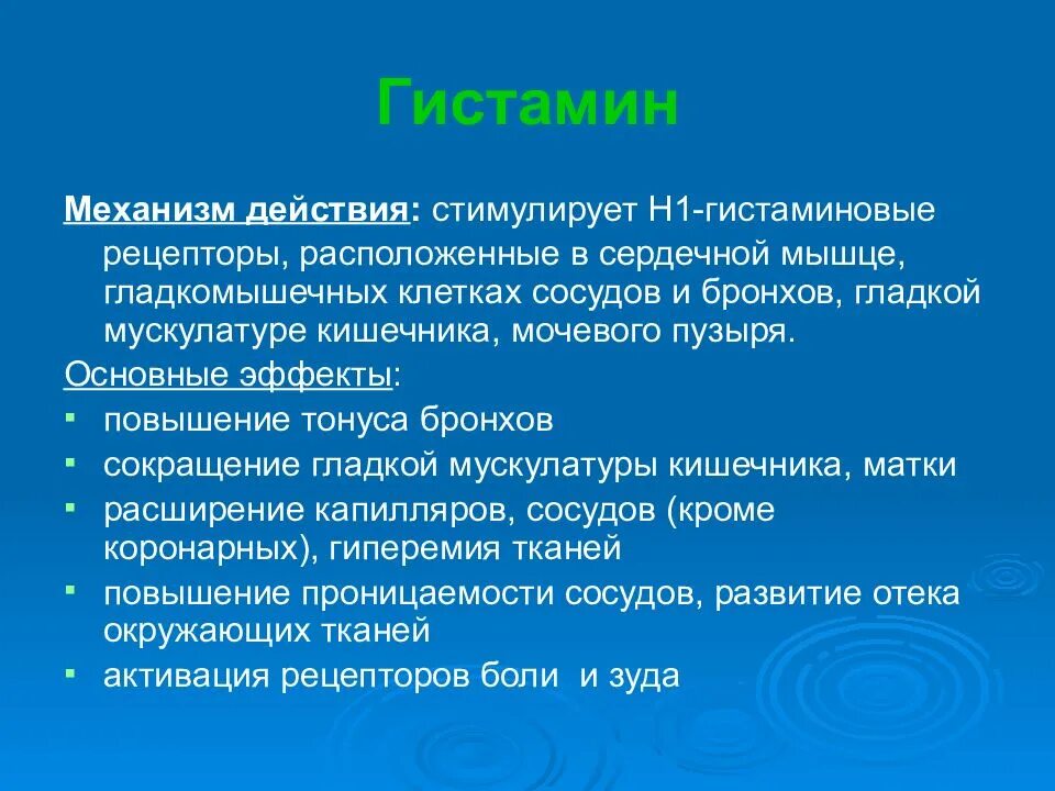 Гистамин действие. Механизм действия гистамина. Гистаминовые рецепторы механизм действия. Механизм действия Гистам на. Механизм действия н1 гистаминовых рецепторов.