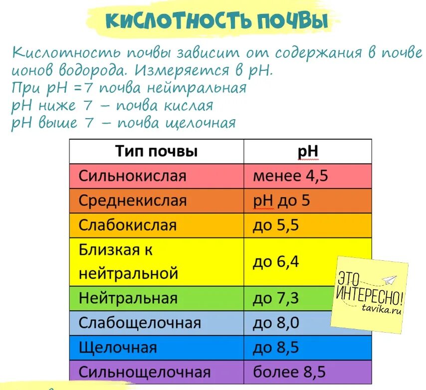 Кислотность грунта почвы. Кислотность почвы таблица. Слабокислый грунт кислотность. Таблица кислотности грунта. Таблица измерения кислотности почвы.