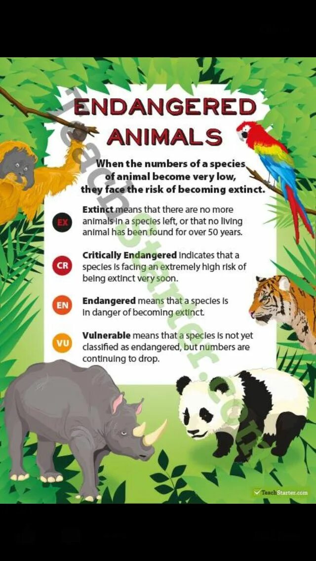 Extinct endangered animals. Плакат исчезающие животные. how to save endangered animals. protect endangered species. постер о вымирающем животном на английском.
