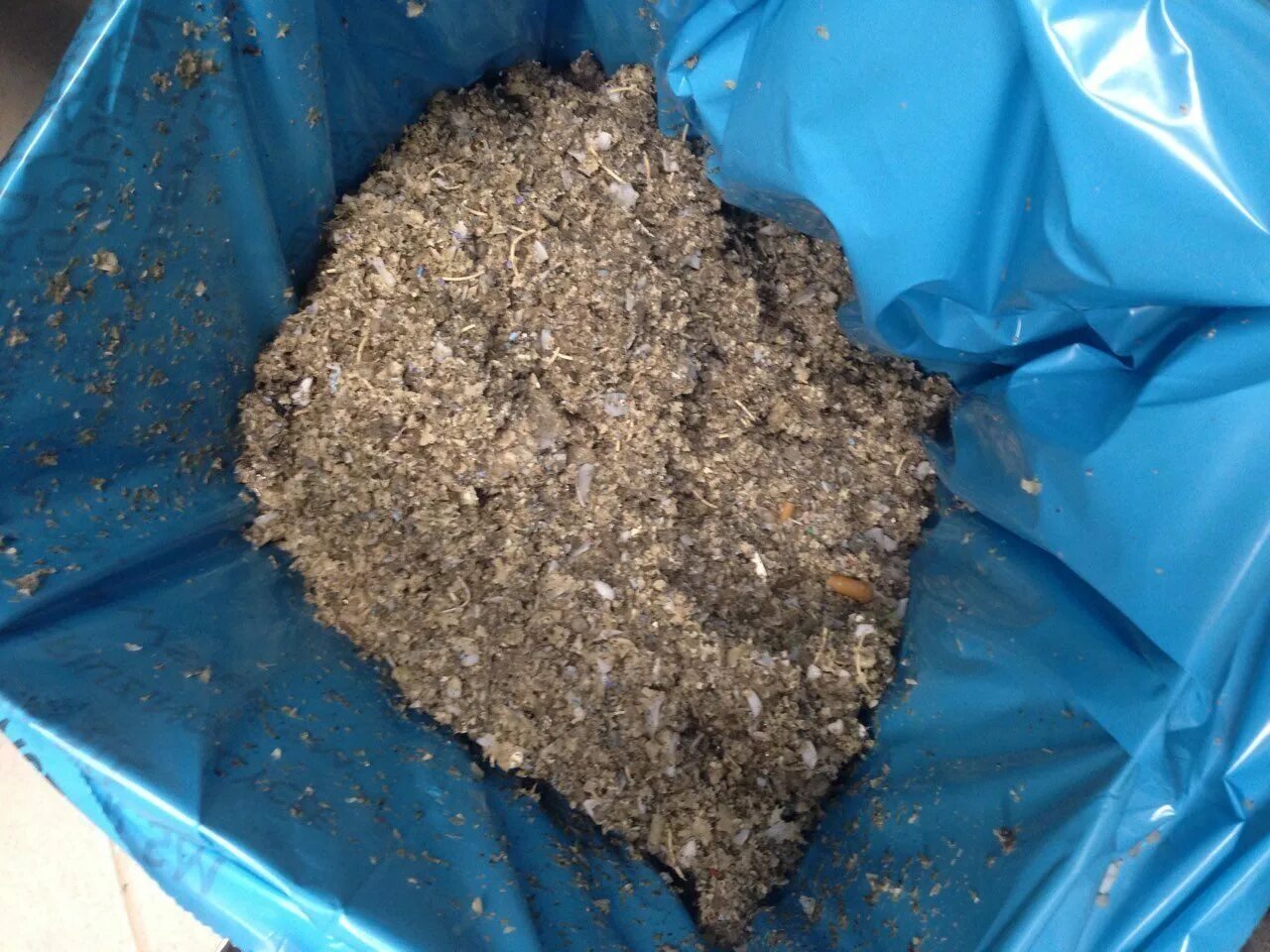 биологические медицинские отходы. сортировщик тбо. харьков после отхода. харьков после отхода. утилизация медицинских отходов.