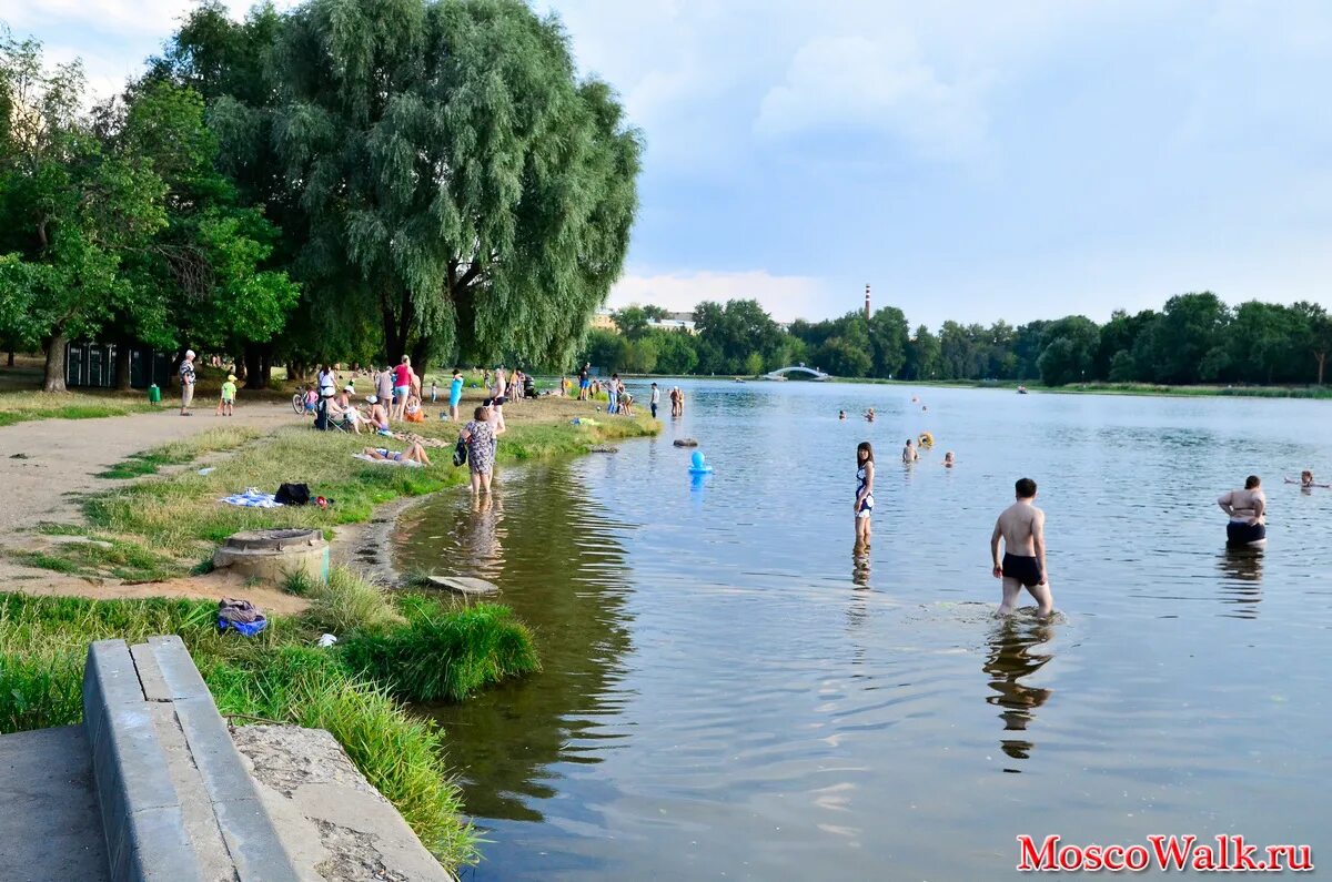 Головинские пруды парк. Головинский пляж. Верхний головинский пруд. Головинские пруды пляж. Головинский пляж.