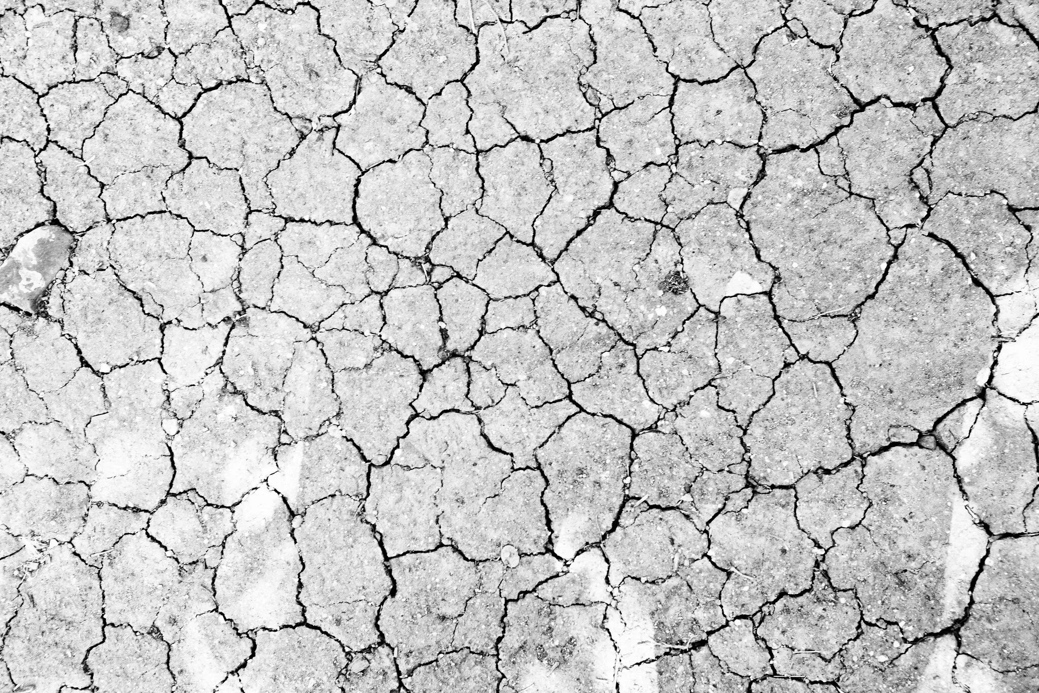 Share textures