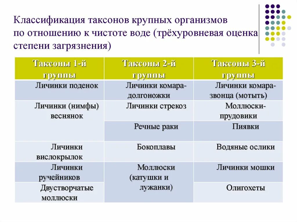 Биоиндикация» и «биоиндикаторы» окружающей среды. Животные индикаторы загрязнения окружающей среды. Классификация таксонов. Биологические индикаторы примеры.