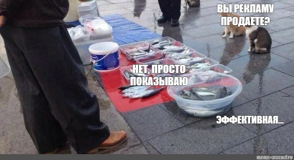 Рыбу продаете нет показываю красивое. Рыбу продаете нет показываю красивое