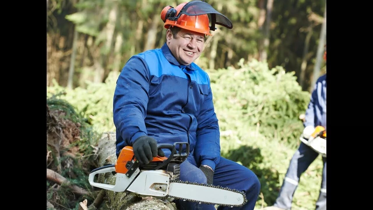 Дровосек удаление деревьев