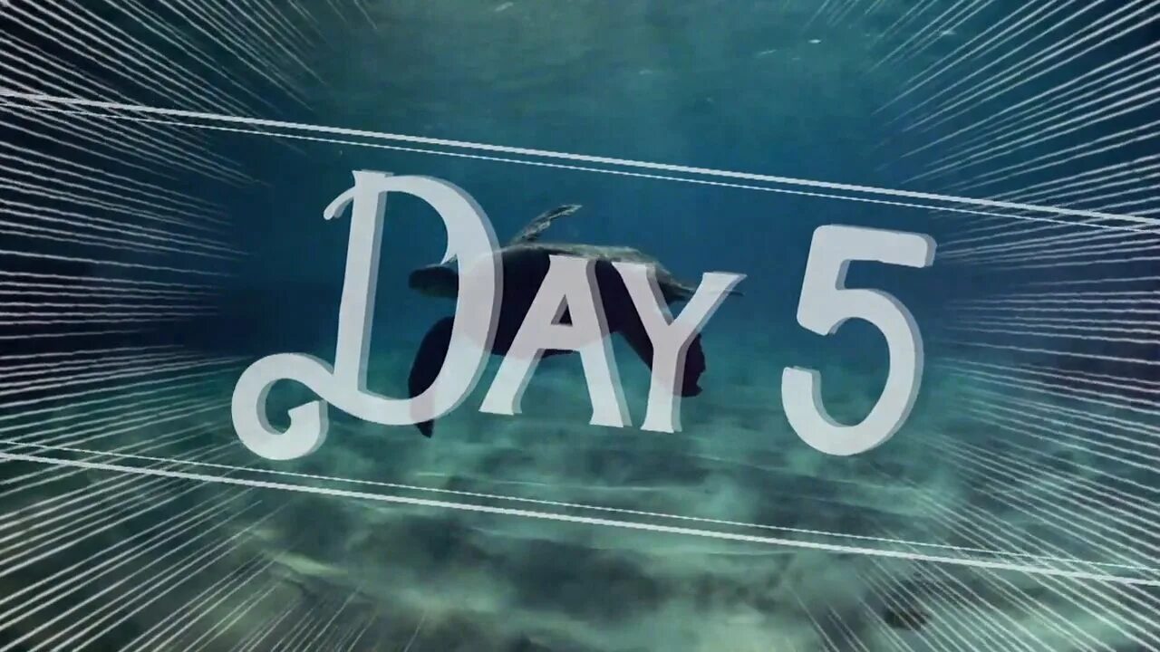 5 c день 4. 5 Days. Day 5 (2016). Day 5 фото. 5 Days логотип.