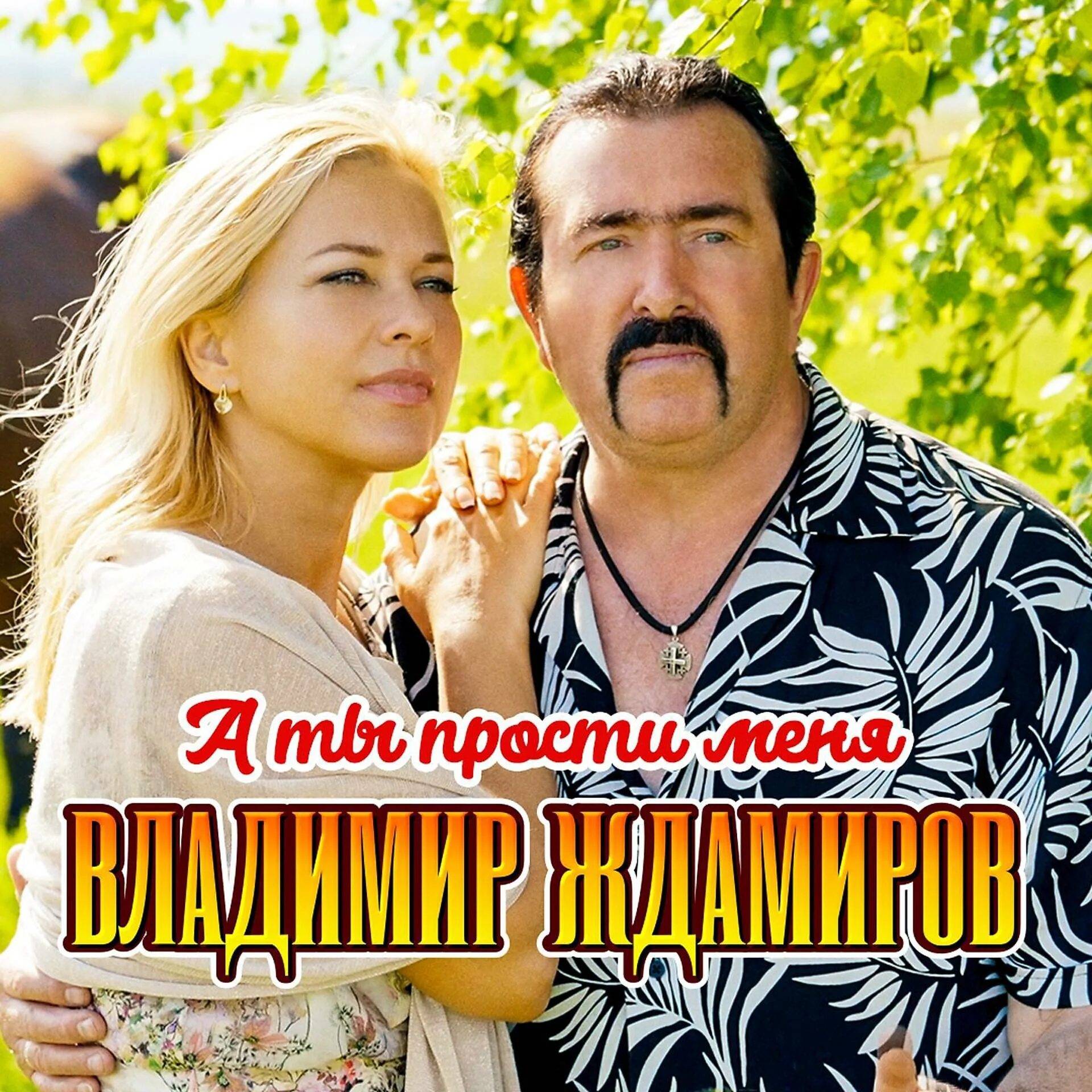 Ждамиров все пройдет mp3. Ждамиров а ты прости.